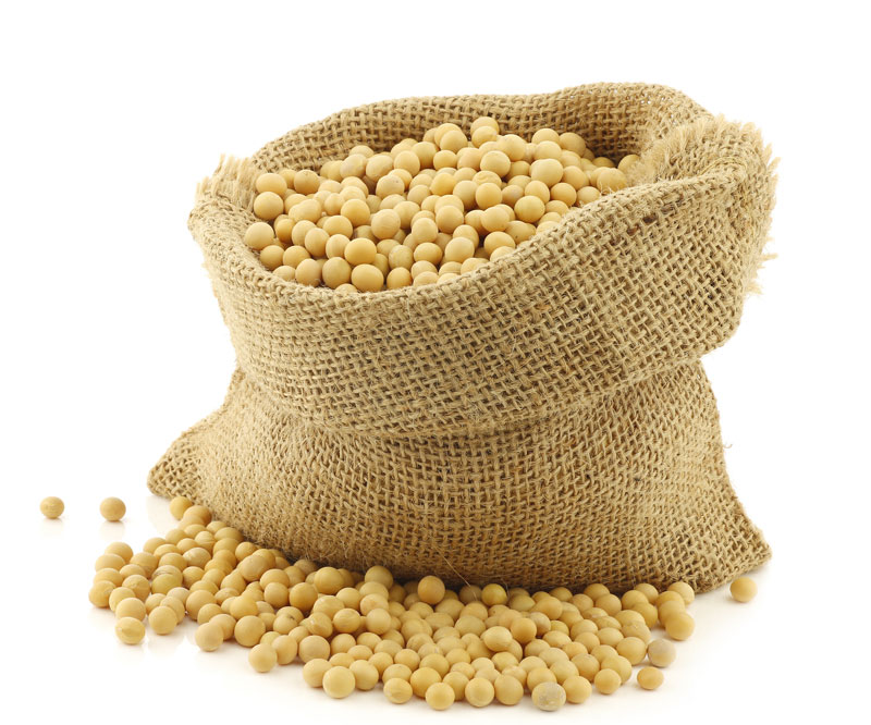SoybeanBad