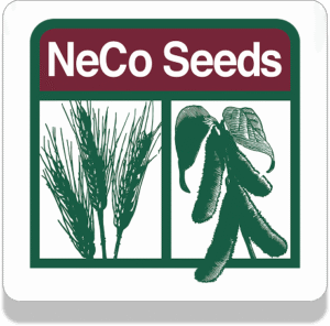 neco