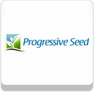 progressive